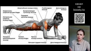 КАКИЕ МЫШЦЫ КАЧАТЬ А КАКИЕ РАСТЯГИВАТЬ для осанки