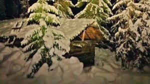 Один в тайге. Мощные поклёвки хариуса! За мной увязался ЗВЕРЬ!) Вечер в избе.