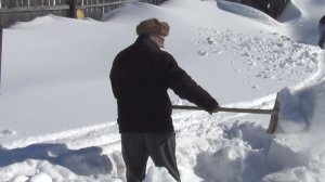 Ждём весну (ч. 2 зимовка пчёл под снегом в огороде)