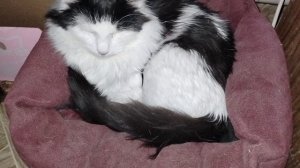 Новости от Егорки 23.02.26.Продолжение.