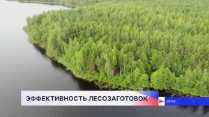 На заседании антикризисного оперштаба обсудили меры поддержки деревообрабатывающей отрасли