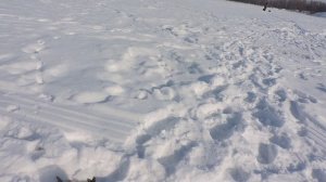 Рыбалка и прогулка в одном флаконе .