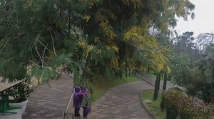 В Сочи ожидается пасмурная и сухая погода