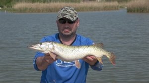 Stuka za bod - Jezero Grgec Zitiste EP188_