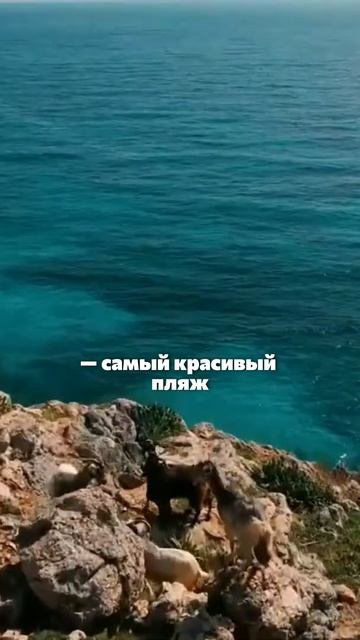 Топ-5 популярных мест Северного Кипра 🇨🇾 #shorts #кипр #инвестиции #турция