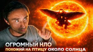 Огромная птица на солнце - НЛО на солнце в виде птицы
