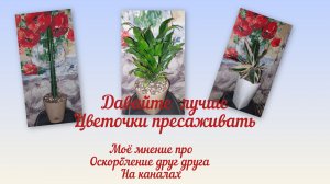 Болталка |Давайте лучше цветочки сажать | Моё мнение про оскорбление друг друга на каналах●