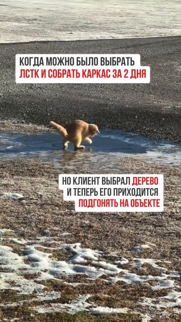 Если хотите больше узнать о наших проектах, переходите по ссылке в шапке профиля смотреть онлайн