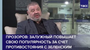 Прозоров: Залужный повышает свою популярность за счет противостояния с Зеленским