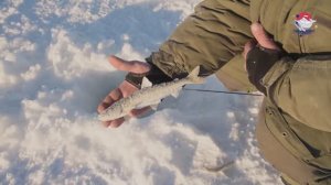 Зимняя рыбалка