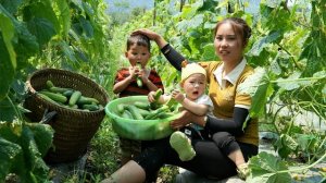 Мама поневоле. Дуонг. Собираю огурцы, везу их на рынок на продажу.Нашла родственников парня.Серия 61