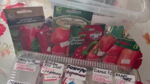 Сладкий перец.