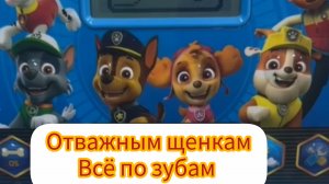 Молния Маквин в непривычном образе и команда щенячьего патруля тоже не в своем репертуаре.