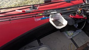 Карелия 2025 день 6 (медведь)