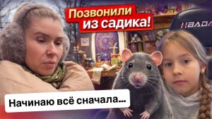 ВЛОГ: начинаю всё сначала… Позвонили из детского сада | В гостях у Карины | крысы