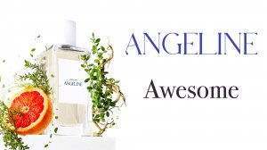 ANGELINE Awesome — ГРОМКАЯ НОВИНКА или ПУСТЫЕ ОБЕЩАНИЯ?