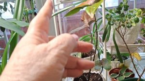 Весна близко