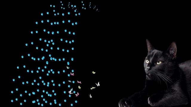 На водопаде. Звуки водопада смотреть онлайн