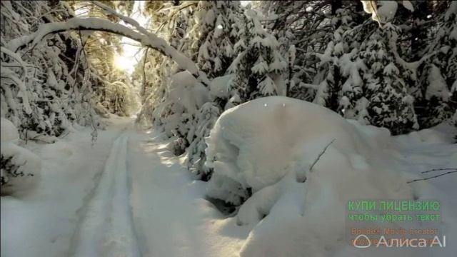 ЗИМНИЙ ПОЗИТИВЧИК! ВСЕ НА ПРОГУЛКУ! смотреть онлайн