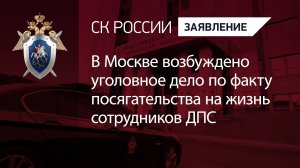 В Москве возбуждено уголовное дело по факту посягательства на жизнь сотрудников ДПС