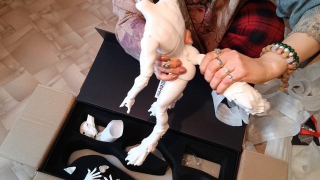 Распаковка Bjd Dream Valley New 1/4 Wolf Robin Special Body