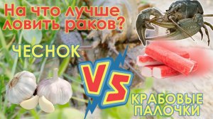 Эксперимент!!! Ищем Идеальную Приманку для Раков!!! Часть 1
