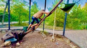 Влад решил сделать Степе и Мане ЛЕСЕНКУ и ГАМАЧОК повыше, чтобы люди не кидали туда мусор)