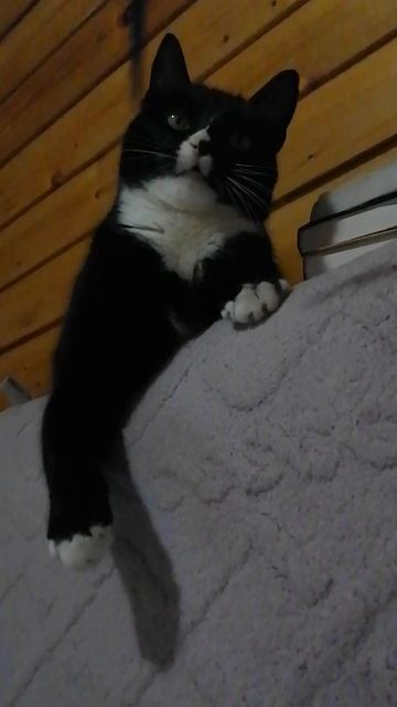 Маркизка смотреть онлайн