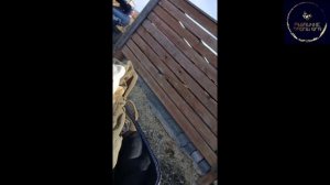 Ольгино озеро