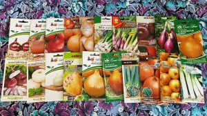 Семян лука много,но сеять пока не собираюсь.😉