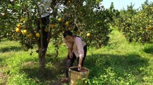 36.Мать-одиночка начинает новую жизнь в заброшенном доме