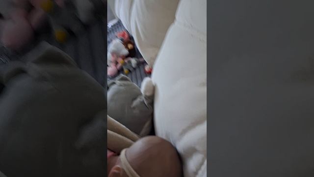 канал с  реборнами