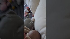 канал с  реборнами