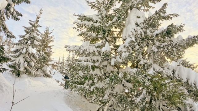 Гряда задняя камера Антон и Леха смотреть онлайн