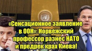 «Сенсационное заявление в ООН»: Норвежский профессор разнес НАТО и предрек крах Киева!