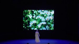 Юбилейный концерт ансамбля "Калинка" с Вероникой Сыромля_Театр 2024