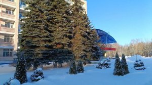 О весне поёт саксофон