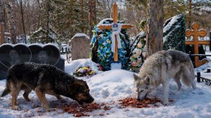 СТАРОЕ КЛАДБИЩЕ 2026. г. АСТАНА КАЗАХСТАН  ул.ТЛЕНДИЕВА