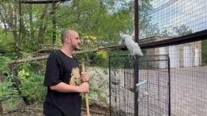 Я НЕ ПОВЕРИЛА своим глазам, добрейшая Кира СТАЛА ГЛАВНОЙ в вольере и Жорик ее боится)))