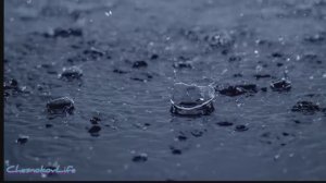 На обратной стороне