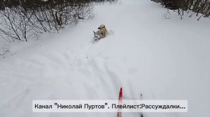 О том,о сём.Рассуждалки на лыжне...