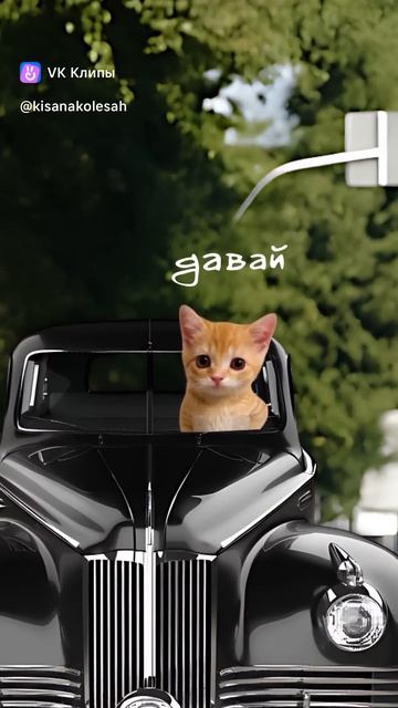 ЗИС 115 ЗИС 115