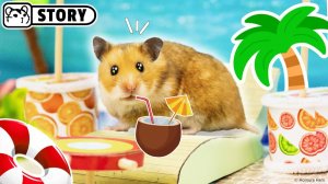 Хомяк в аквапарке на берегу моря 💦 Хомяк Хомура