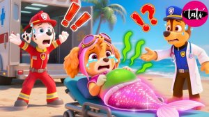 Щенячий патруль и Маршалл. Залипательное видео. Мультфильм для детей и малышей. Анимация 293
