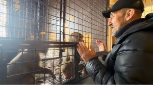 Это УЖАС! Степа УСТРОИЛ СКАНДАЛ, а Люся стала просто кидаться на Алину, думая что она обидела друга