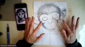 Обезьянка (простые карандаши)