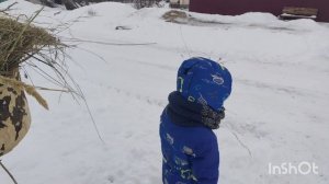 зимний футбол//  на санках//курочки// ну и пирог☕🥧//