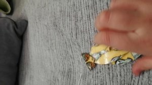 видео про путешествия 🧳