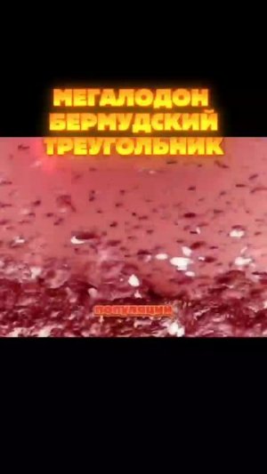 Мегалодон в Бермудском треугольнике