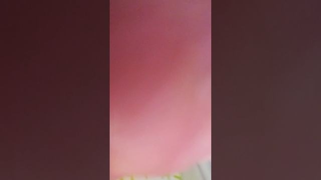 третья видео про ie da park!!!👍👍👍😃🥳 зрыв мозга🤯